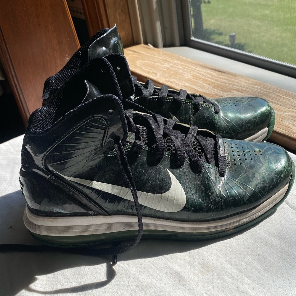Snakeskin Nike Airmax Hyperdunks